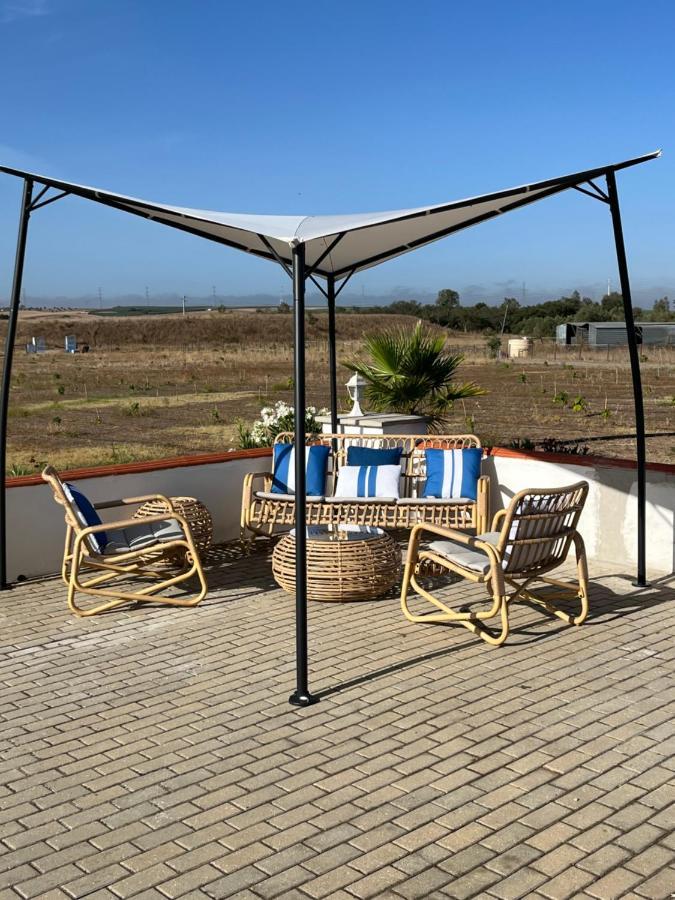Quinta Da Amoreira Ferreira Do Alentejo Esterno foto
